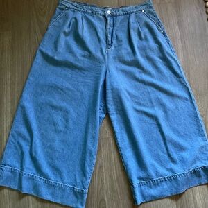 Pilcro culotte pants. Size xl